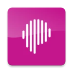 Logo of P4 Radio android Application 